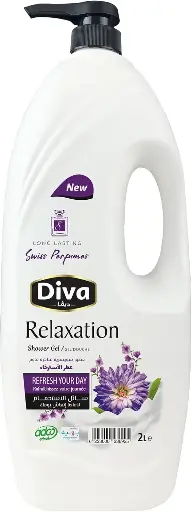 [10029] DIVA Shower Gel 2l PALLET
