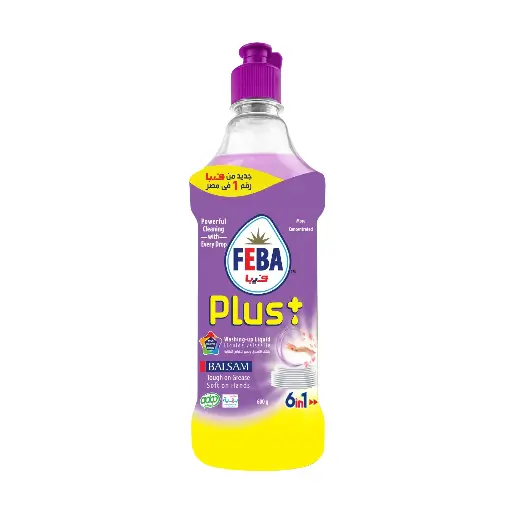 [10045] FEBA Plus + Balsam 600ml PALLET