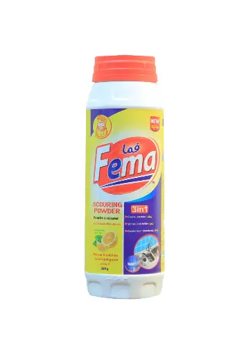 [10058] FEMA Scouring Powder 500g PALLET